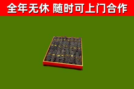 独山县回收海参